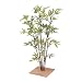 �y�l�H�A���z�~�j���|80cm