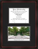 South Florida USF Bulls Diploma Frame & Lithograph Print