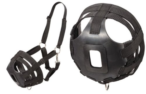 Grazing Muzzle All in One