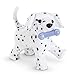 American Girl Pet - Dalmatian Puppy - MY AG 2014