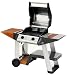 Sapphire Stainless Steel 2 Burner Hooded Barbecue Image
