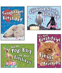 Scripture Greeting Cards-KJV-Boxed-Birthday - "Birthday Critters"