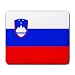 Slovenia Flag Mouse Pad