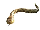 Natual History Museum Radio Control Rattlesnake