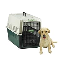Remington Plastic Kennel, Beige/Green