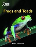 Frogs and toads