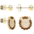 Lion Delight Duo Earring Set