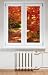 Window film, 30