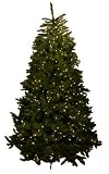 Good Tidings Cape May Fir Artificial Prelit Christmas Tree 6-1/2 Feet Tall with 650 Clear Lights