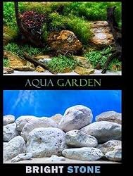 Seaview Background Roll 24"" x 50ft. Aqua Garden/Brightstone