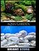 Seaview Background Roll 24"" x 50ft. Aqua Garden/Brightstone