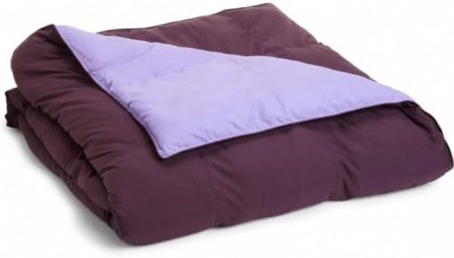 Grand Down All Season Down Alternative Reversible Comforter