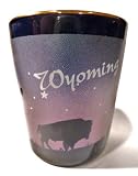 Wyoming Cobalt Prairie Scene Shot Glass