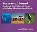 Secrets of Sound