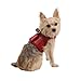 PUPPIA Authentic Cyberspace Pet Harness B, Large, Wine