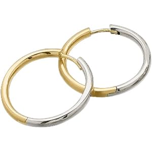 Two Tone Stylish Retro Hoop Earrings