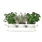 White Enamel Planters on a Tray