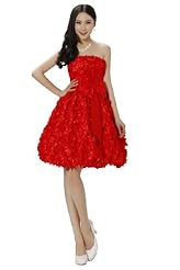 Strapless Bubble Dress Floral Print  Lace Evening Dress/Prom Dress/Party Dress/Mini Dress  With a Bow(s)