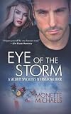 Eye of The Storm: Security Specialists International