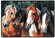 Crazy Horses Western Horse Doormat Rug Mat Home Decor