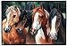 Crazy Horses Western Horse Doormat Rug Mat Home Decor