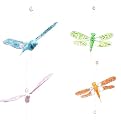 Dragon Fly Garlands Set of 3