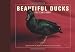 Beautiful Ducks Postcard Book