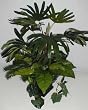 30" Raphis Palm, Birds Nest Fern Cycas & Ivy Arrangement