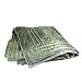 100% Silk Quilt - Dusky Moss Green & Silver Image