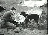 War Dog Stories