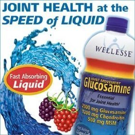 Wellesse Joint Movement Glucosamine With Chondroitin and Msm 33.8 fl oz (1000