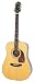 Epiphone DR-500R Masterbilt Acoustic Guitar, Dreadnought, Natural Satin