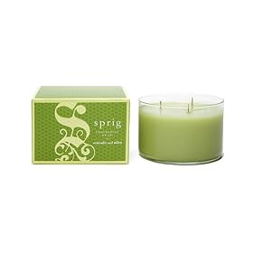 SPRIG Fragrances 3 Wick Candle - Avocado and Olive