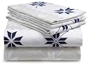Pinzon 160-Gram Printed Flannel Queen Sheet Set, Swiss Bliss Blue