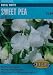 Royal White Sweet Pea Seeds