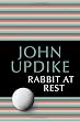Rabbit at Rest