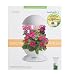 AeroGarden 900211-1200 3 with 3-Pod English Garden Flowers Seed Kit, White