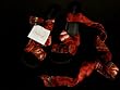 Silk Ankle Wrap Sandal 10 in Tehuana in Red