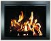 Chalet Fireplace Glass Door