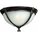Hinkley Lighting 1293IB Exterior Flush Mount Iron Bronze Quebec Rustic Outdoor Tradit...