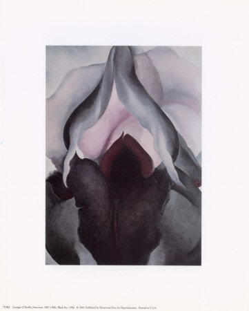 Georgia O�keeffe Black Iris Iii. Artist Georgia O Keeffe.