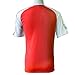 ARSH Red Soccer Jersey