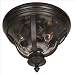 Craftmade Frances Outdoor Flush Ceiling Light