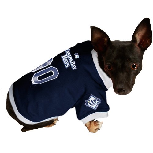 Tampa Bay Rays Navy Blue Mesh Pet Jersey (X-Large)