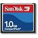1GB Sandisk Compact Flash Memory Card (Bulk)