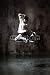 Wallmonkeys Peel and Stick Wall Decals - Dancing - Removable Graphic