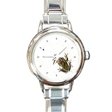 Limited Edition Violano Italian Charm Watch Frog Ladybug Art