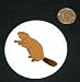 3 button / pin printed with wild, riparian, aquatic, vertebrate, mammal, animal, beaver, gnawing, north american, baver