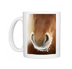 Icelandic Horse Photo Mug