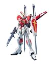 Gundam Seed MG Sword Impulse Gundam 1/100 Scale Model Kits